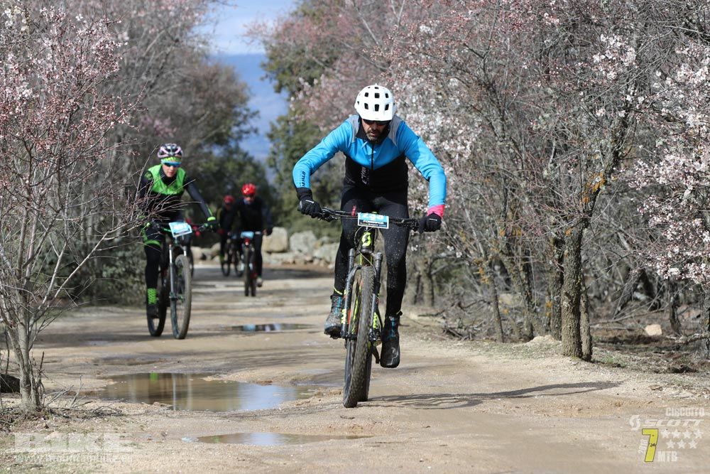 Ruta de la miel. Colmenarejo. Circuito Scott 7 Estrellas 2018. Galería 3