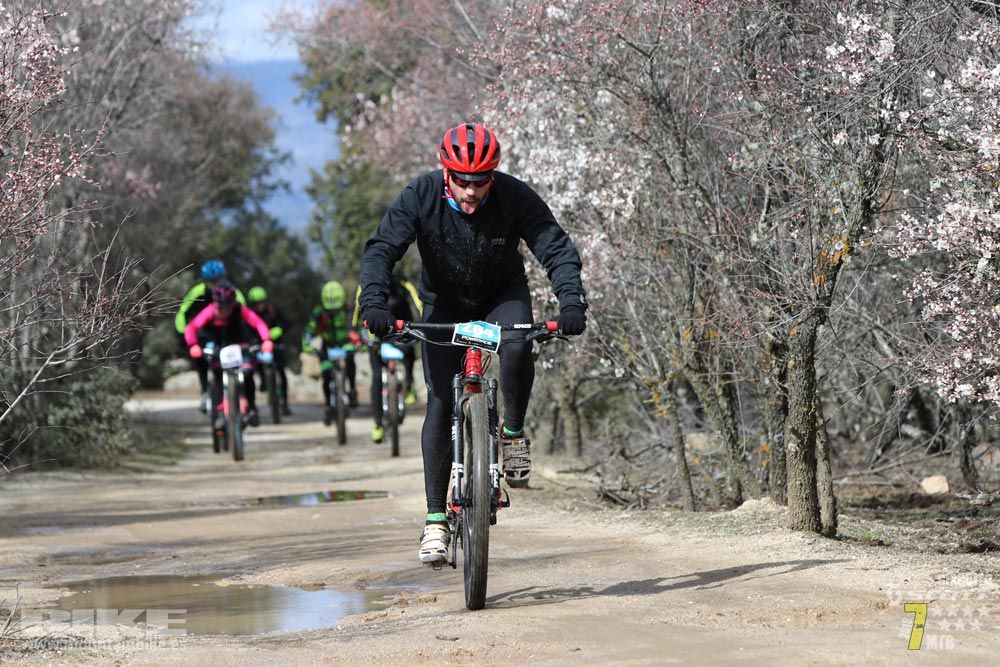 Ruta de la miel. Colmenarejo. Circuito Scott 7 Estrellas 2018. Galería 3
