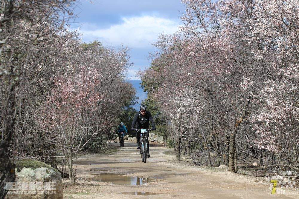 Ruta de la miel. Colmenarejo. Circuito Scott 7 Estrellas 2018. Galería 3