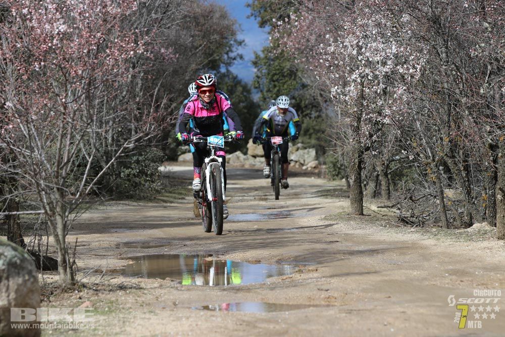 Ruta de la miel. Colmenarejo. Circuito Scott 7 Estrellas 2018. Galería 3