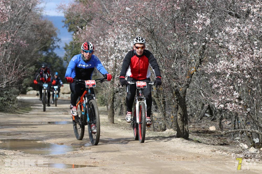 Ruta de la miel. Colmenarejo. Circuito Scott 7 Estrellas 2018. Galería 3