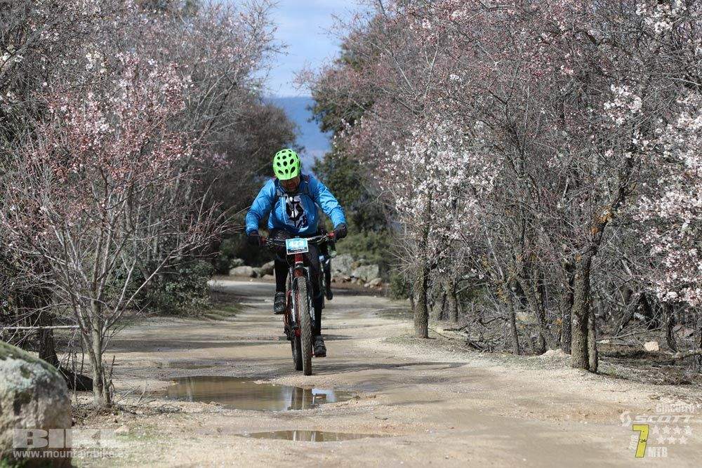 Ruta de la miel. Colmenarejo. Circuito Scott 7 Estrellas 2018. Galería 4