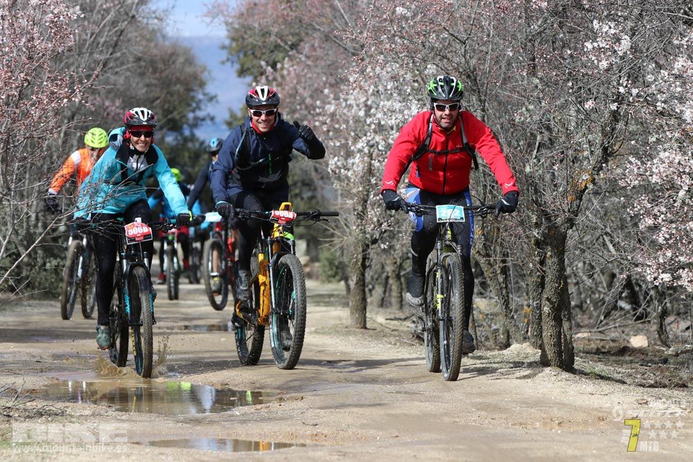 Ruta de la miel. Colmenarejo. Circuito Scott 7 Estrellas 2018. Galería 4