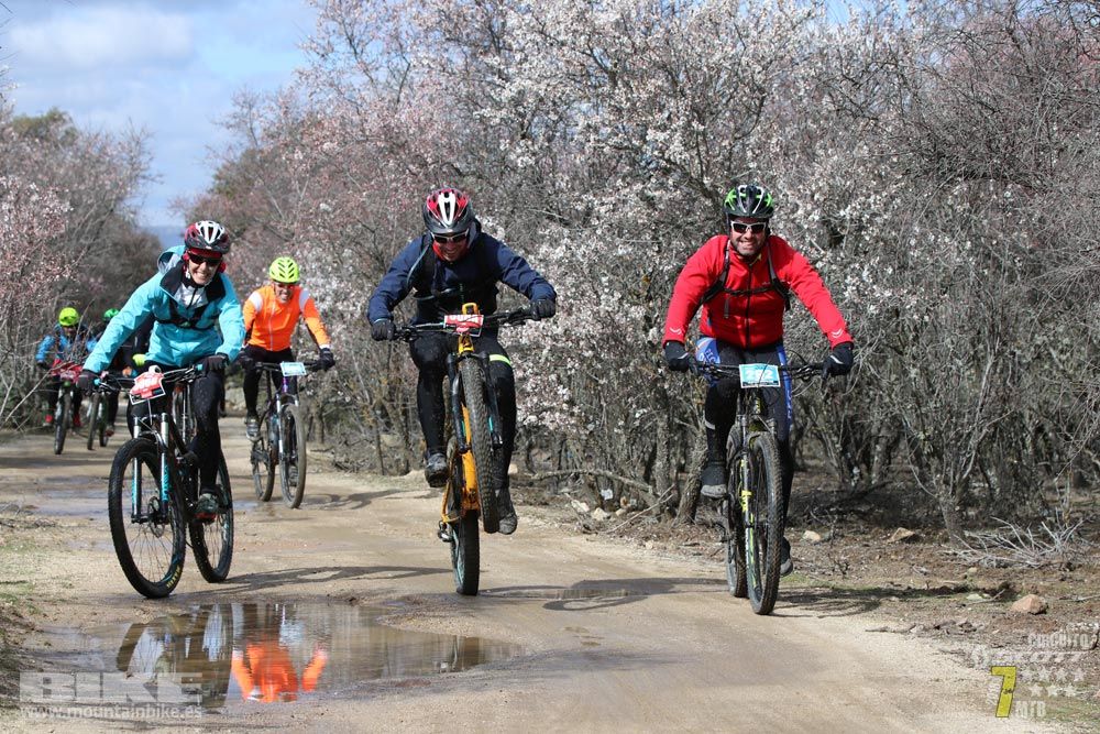 Ruta de la miel. Colmenarejo. Circuito Scott 7 Estrellas 2018. Galería 4