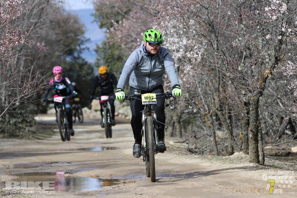 Ruta de la miel. Colmenarejo. Circuito Scott 7 Estrellas 2018. Galería 4