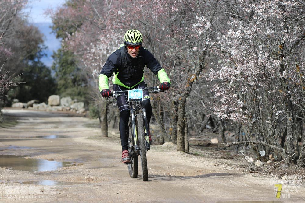 Ruta de la miel. Colmenarejo. Circuito Scott 7 Estrellas 2018. Galería 4