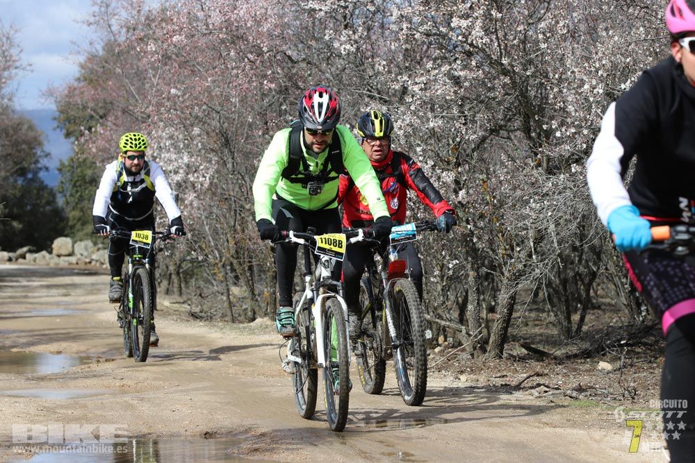 Ruta de la miel. Colmenarejo. Circuito Scott 7 Estrellas 2018. Galería 4