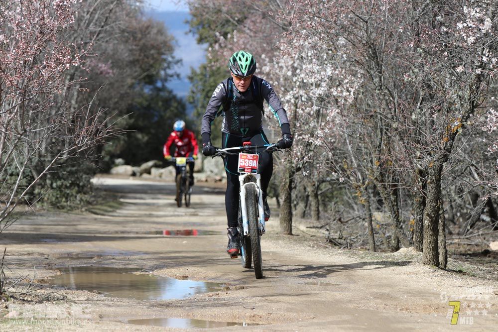 Ruta de la miel. Colmenarejo. Circuito Scott 7 Estrellas 2018. Galería 4