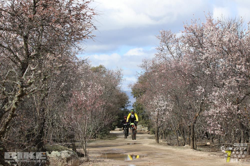 Ruta de la miel. Colmenarejo. Circuito Scott 7 Estrellas 2018. Galería 4