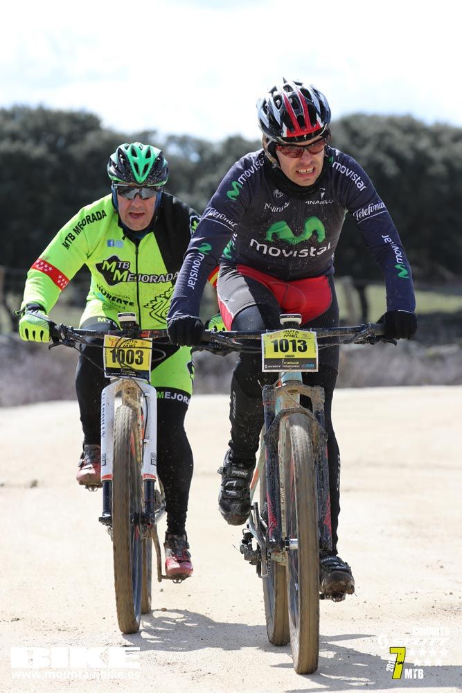 Ruta de la miel. Colmenarejo. Circuito Scott 7 Estrellas 2018. Galería 5