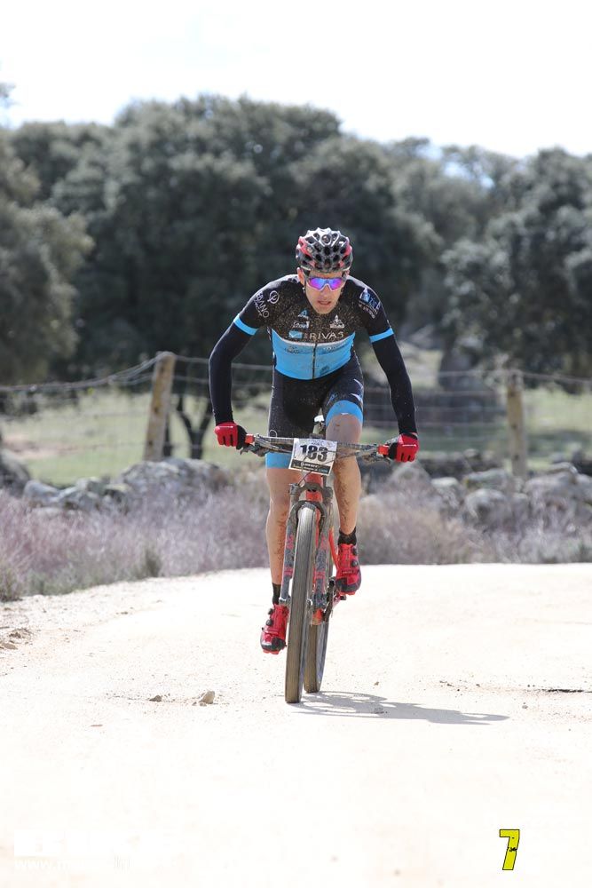 Ruta de la miel. Colmenarejo. Circuito Scott 7 Estrellas 2018. Galería 5