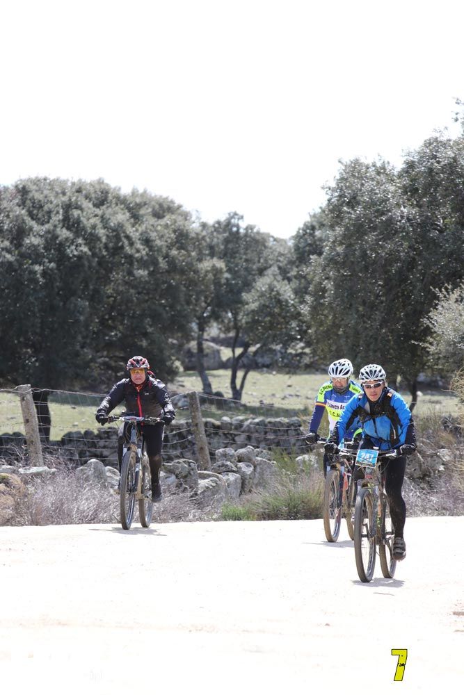 Ruta de la miel. Colmenarejo. Circuito Scott 7 Estrellas 2018. Galería 7