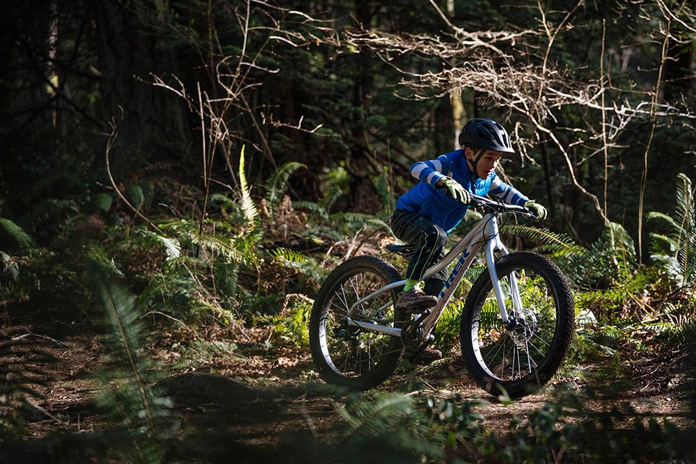 Trek Roscoe 2018