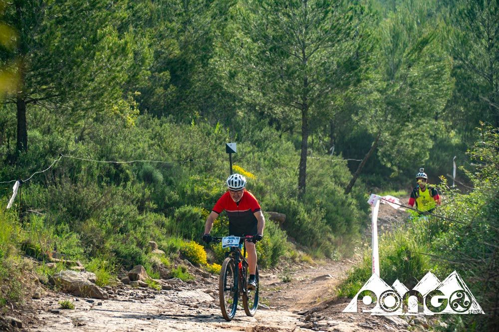 Pongo Series Les Comes 2018. galería 2