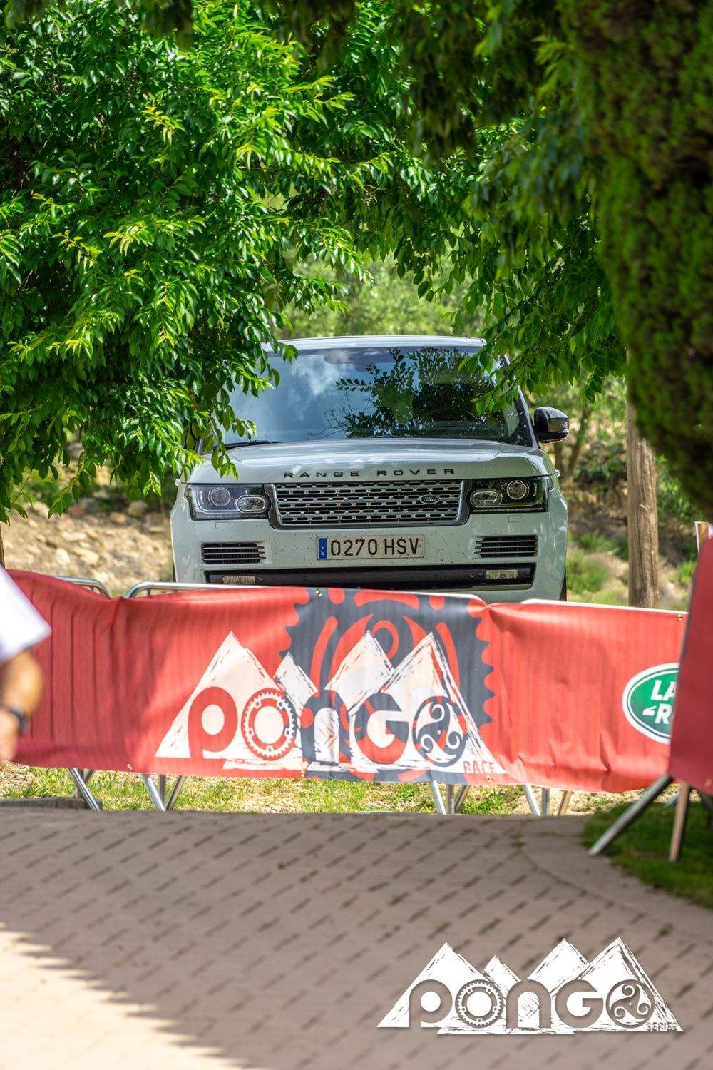 Pongo Series Les Comes 2018. galería 2