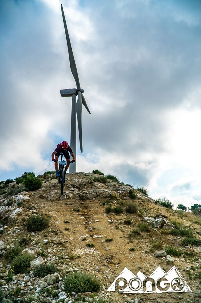 Pongo Series Zaragoza 2018