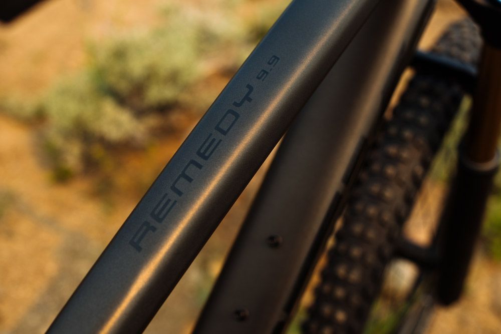 Trek Remedy 2019