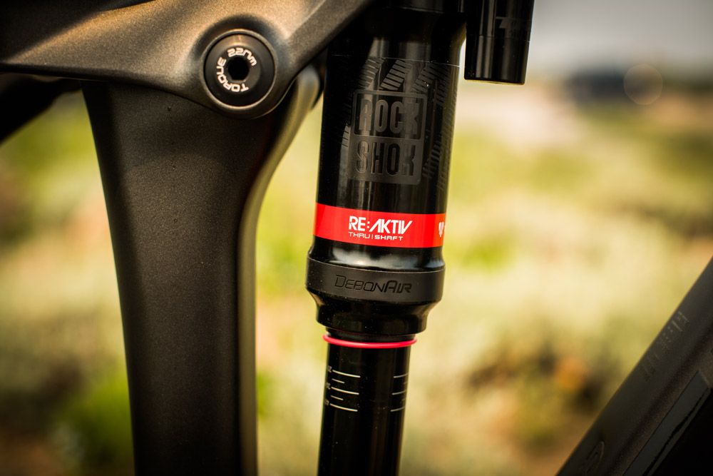 Trek Remedy 2019