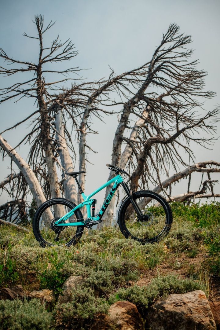 Trek Remedy 2019