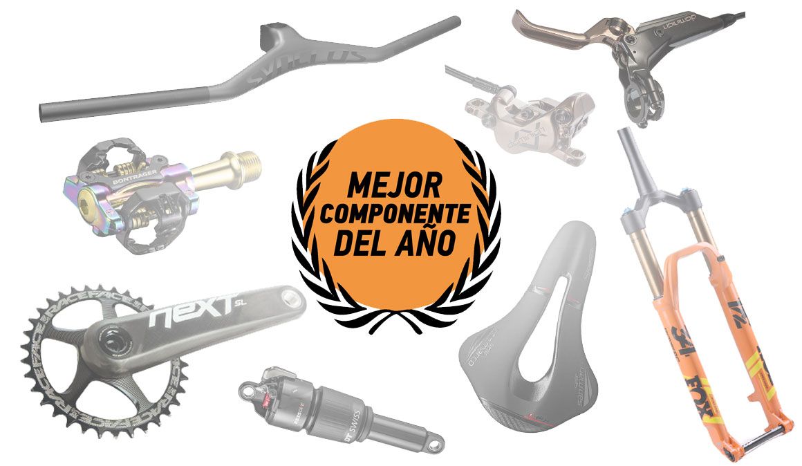 Componente del Año 2019