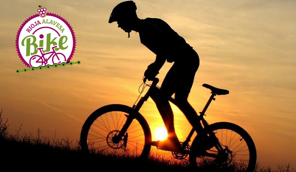 Rioja Alavesa Bike: Rutas guiadas y alquiler de bicis