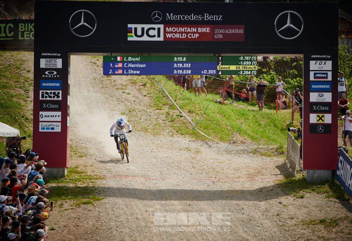 Copa del Mundo Leogahg 2019. Galería 1