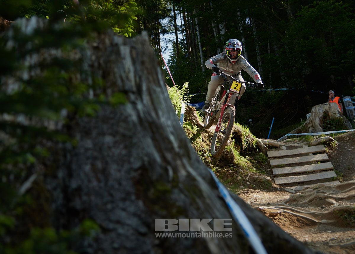 Copa del Mundo Leogahg 2019. Galería 1