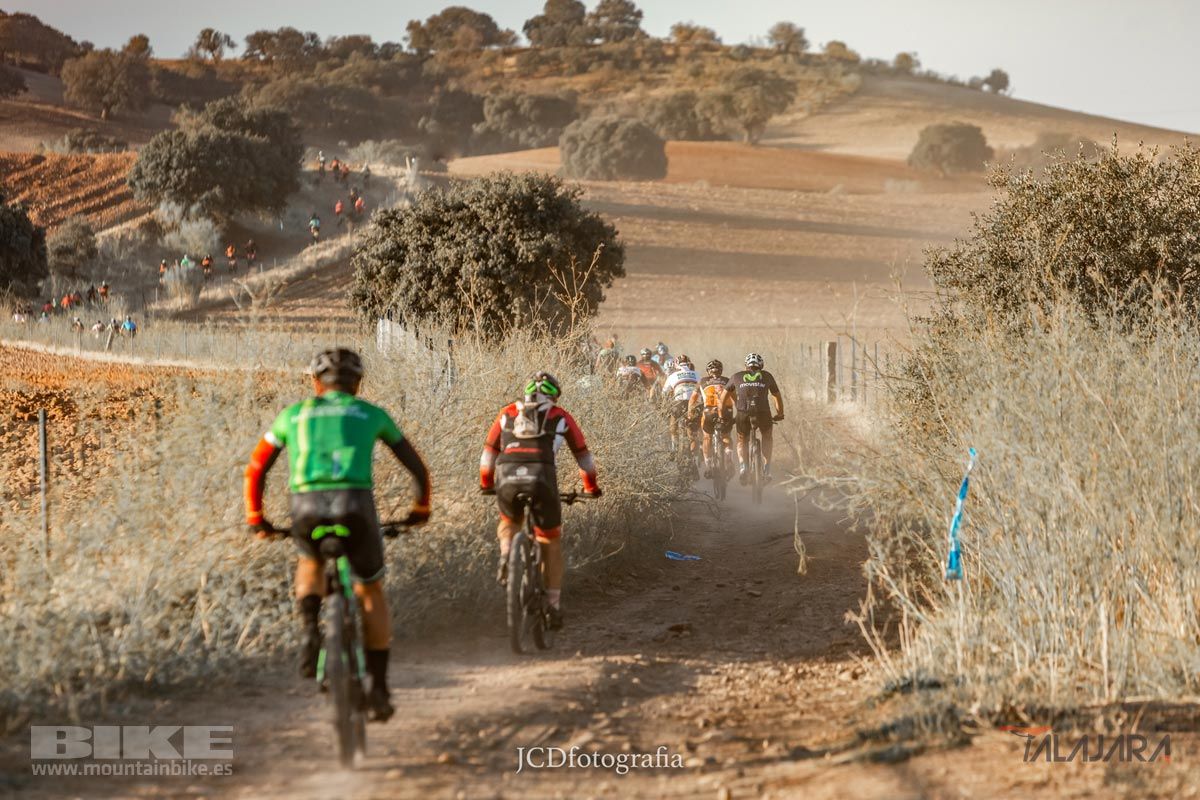 Talajara 2019. Galería 2