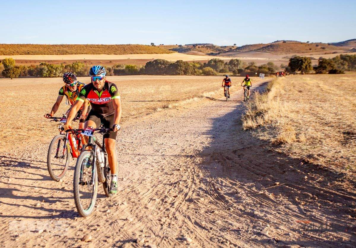 Talajara 2019. Galería 3