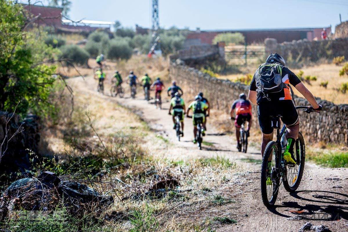 Talajara 2019. Galería 3