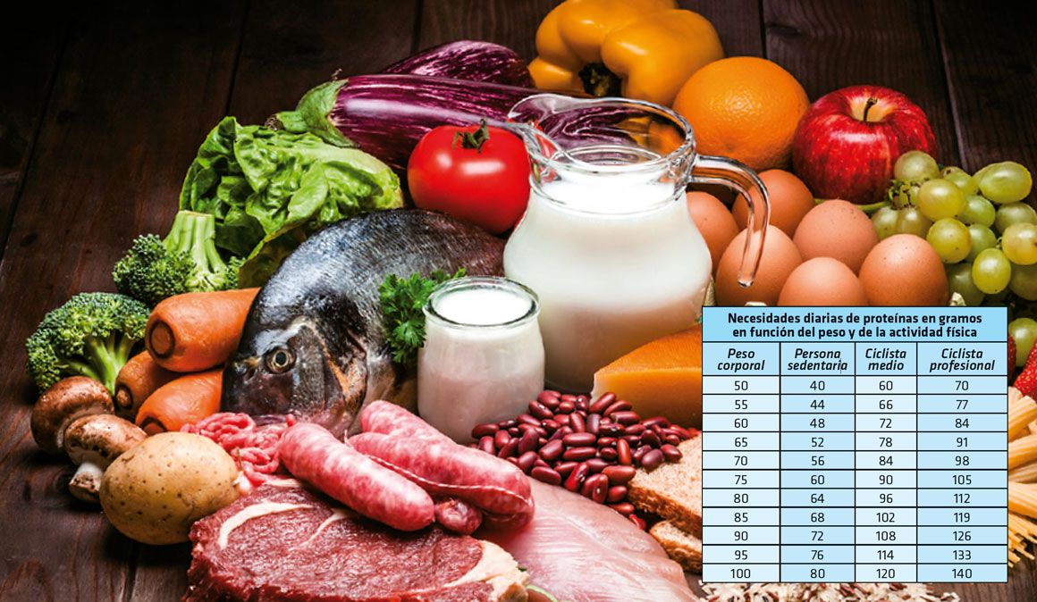 ¿Qué son y para qué sirven las proteínas?