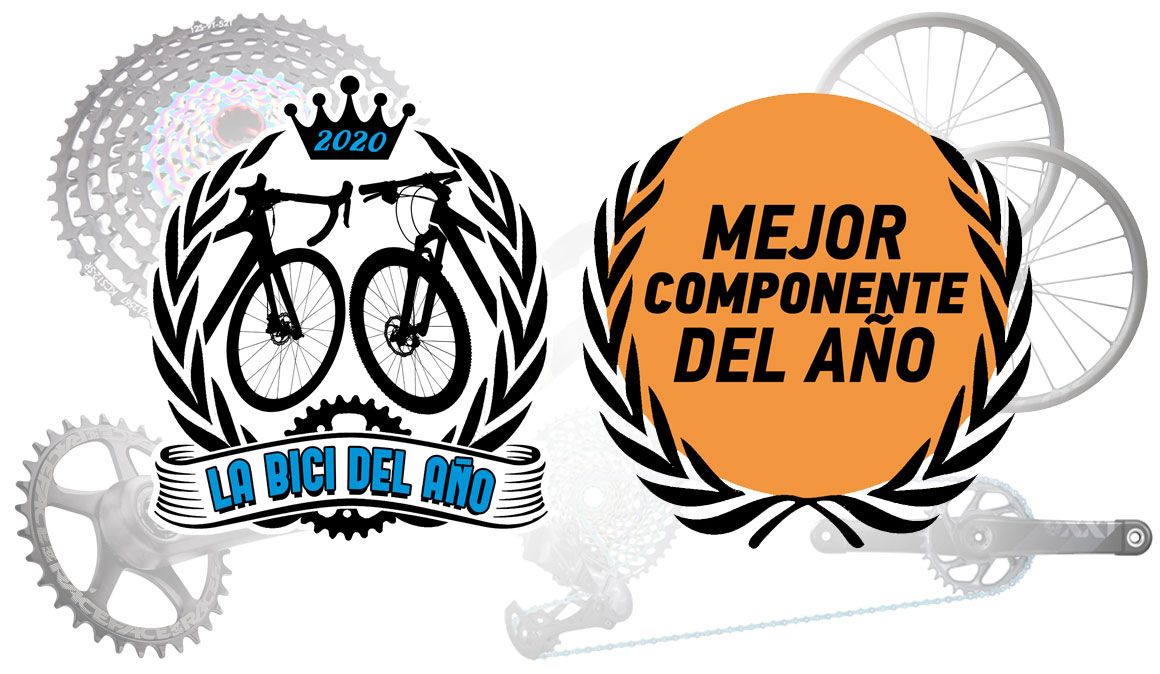 Componente del Año 2020