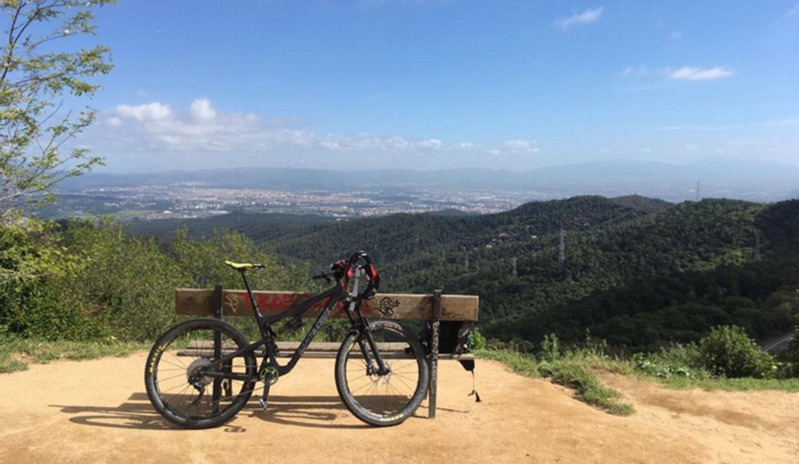 Collserola. Esta podría ser la solución