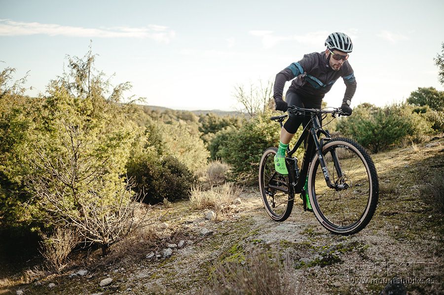 BMC Agonist 02 ONE 2020