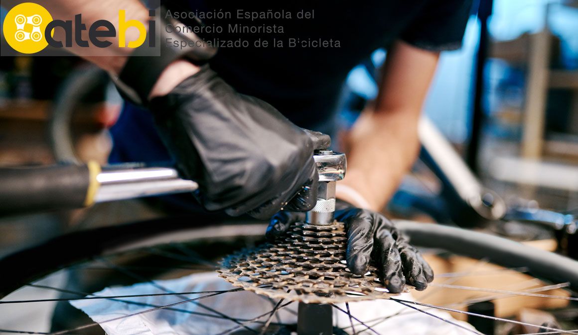 Las mejores tiendas de bicis harán revisiones gratis