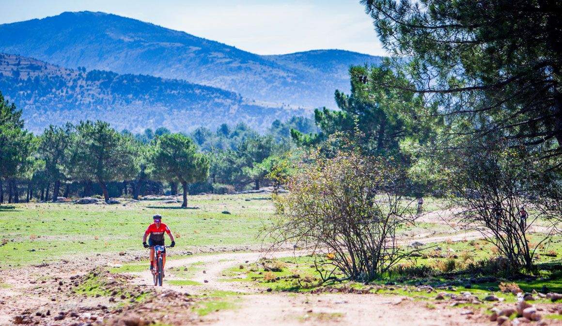 Los profesionales podrán entrenar en toda la provincia