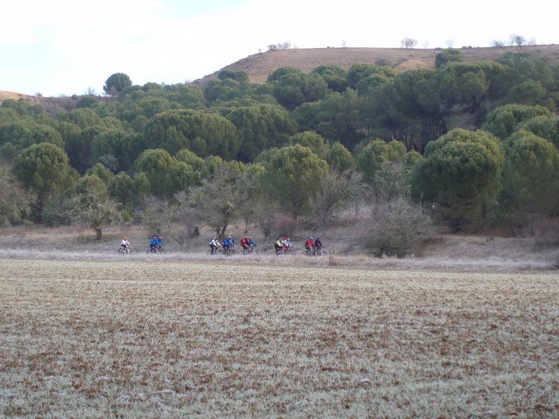 Por Monte la Reina (Zamora)