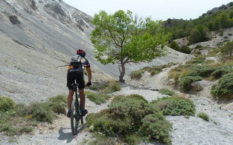 Vuelta al Trevenque