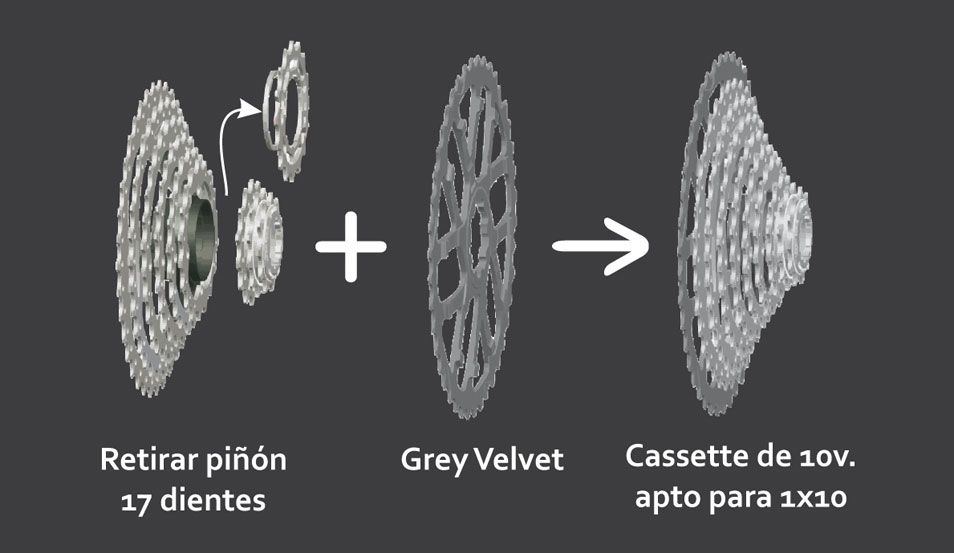 Pasa al 1x10 con Grey Velvet