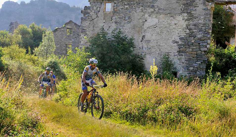 Transpyr 2015 al mejor precio