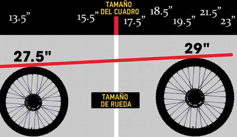 A cada talla su rueda