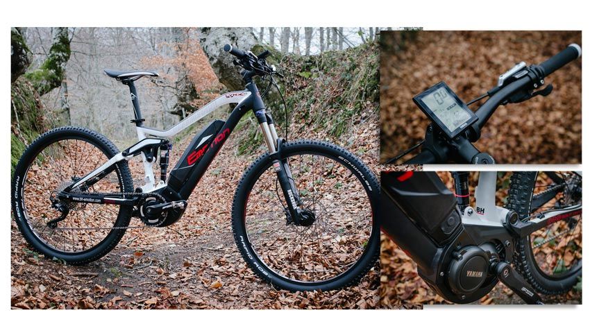 Nuevas BH Easy Motion Rebel Lynx