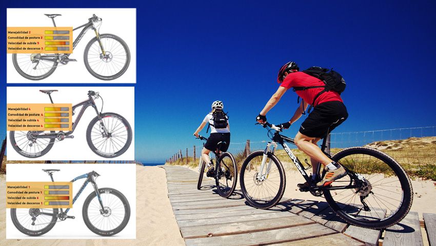 ¿Cuál es tu bici ideal?