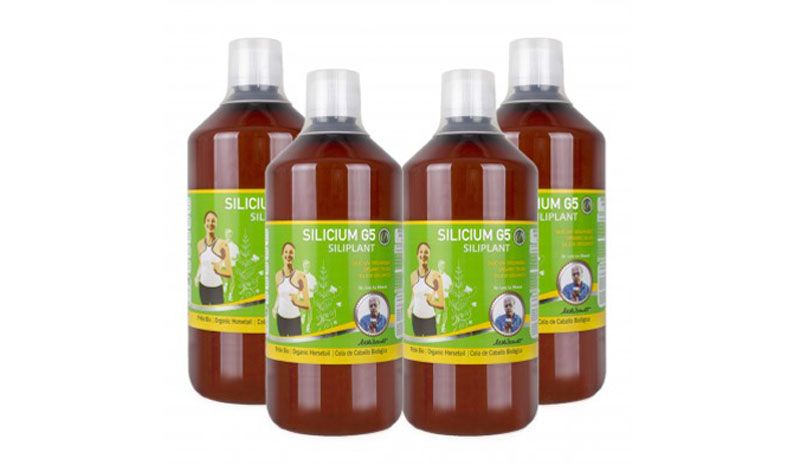 Silicium G5 Siliplant.