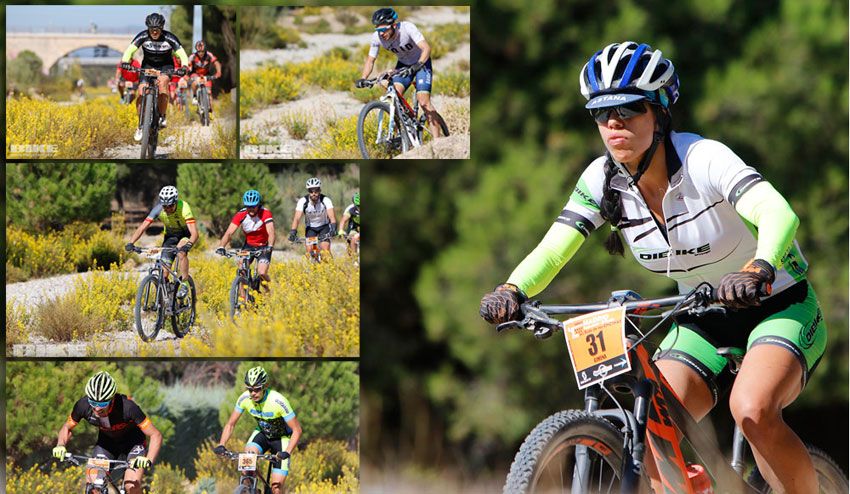 Busca tu foto gratis de la Ruta de las Encinas