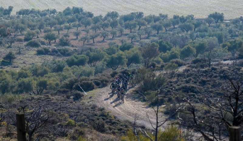 Rotor Big Race llega con novedades.