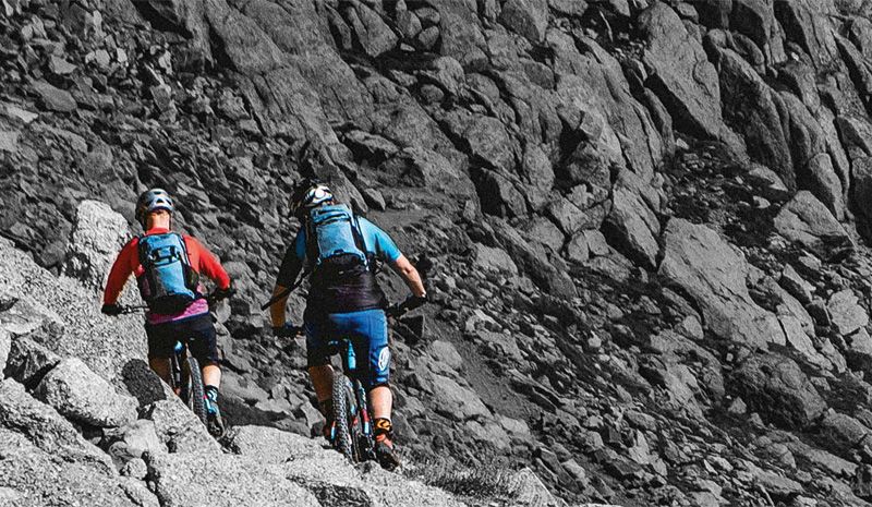 Tendencias en la industria ¿Hacia dónde vamos? Tendencias en la industria ¿Hacia dónde vamos?
