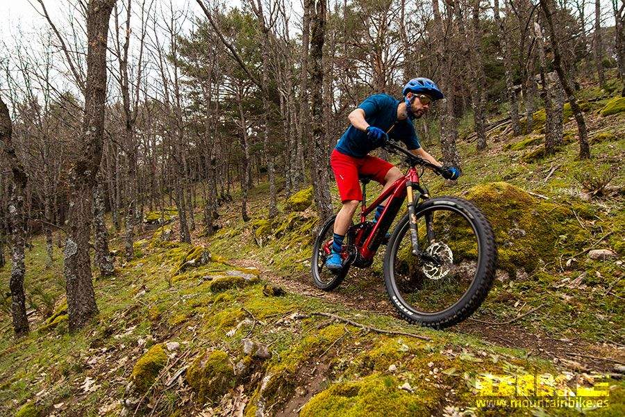 Moustache Samedi 27 Trail 10 (2020)
