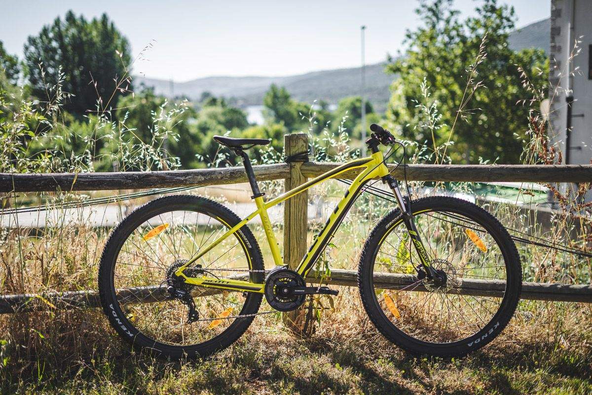 Campus Scott Future Pro (36)