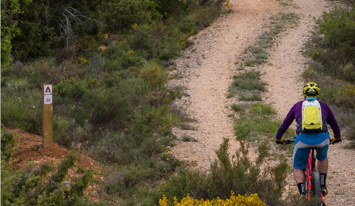 IMBA y Bikefriendly sellan un pacto de colaboración